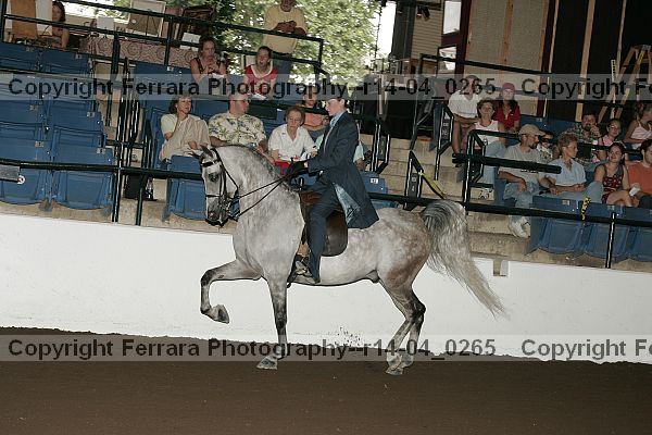 Proof Number r14-04_0265